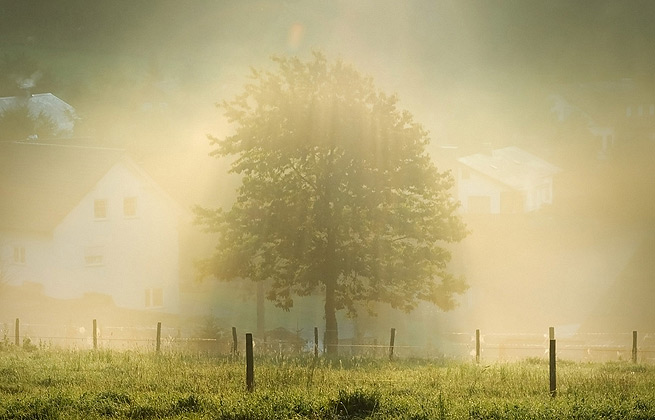 手机号验证码轰炸平台