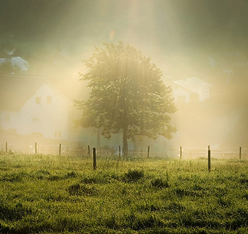 可靠的注册网站求的电脑短信轰炸机