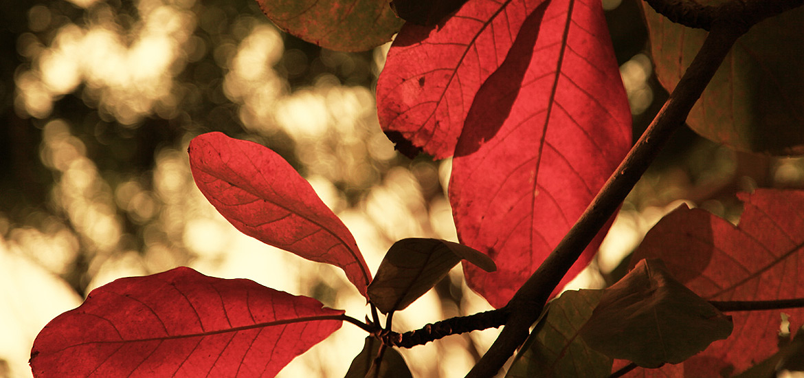 哪里买最放心的电脑短信轰炸机