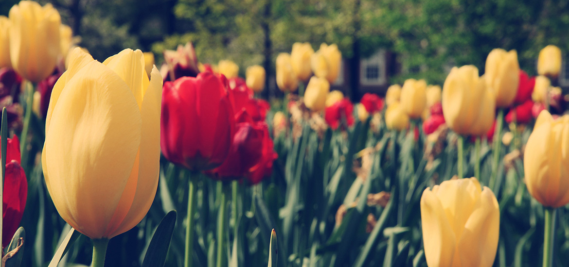 短信电话免费轰炸网站